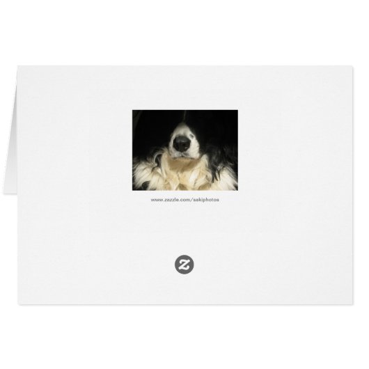 犬が近づく (裏面横)