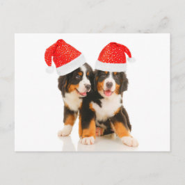 犬が過去の出来事をメリー願う シーズンポストカード