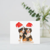 犬が過去の出来事をメリー願う シーズンポストカード (スタンド正面)