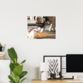 犬が食べ歩道からアイスクリームを食べる ポスター (ホームオフィス)