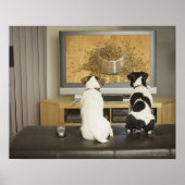 犬が食べ物と一緒にテレビで犬の料理を見る ポスター (正面)
