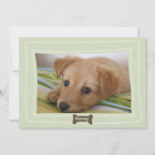 犬が骨与えの写真を撮ったペットの告知 案内状 (正面)