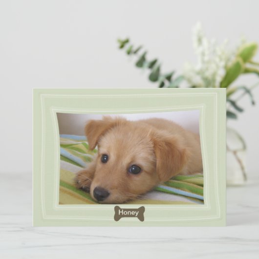 犬が骨与えの写真を撮ったペットの告知 案内状 (スタンド正面)