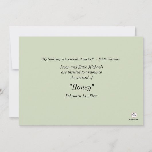 犬が骨与えの写真を撮ったペットの告知 案内状 (裏面)