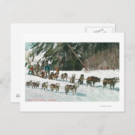 犬ぞりのうずくチームの見解 ポストカード (正面/裏面)