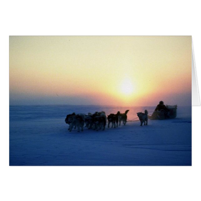 犬ぞり45°C旅行バッフィン島 (正面横)