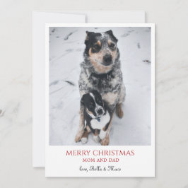 犬たちからのメリークリスマス シーズンカード