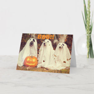 犬たちとハッピー・ハロウィン カード