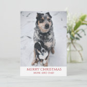 犬たちによるクリスマスの楽しみ シーズンカード (スタンド正面)