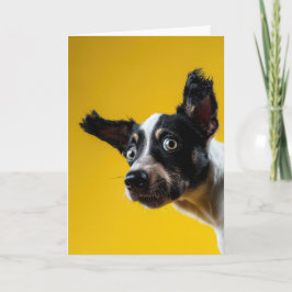 「犬だ」誕生日 カード