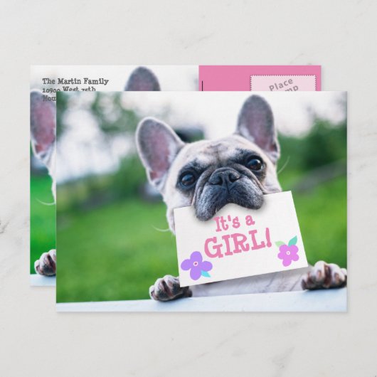 犬とのベビーガールのカスタム発表 案内ポストカード (正面/裏面)