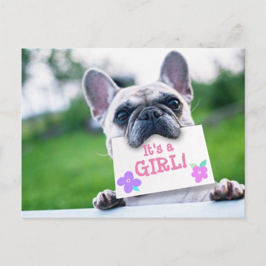 犬とのベビーガールのカスタム発表 案内ポストカード (正面)