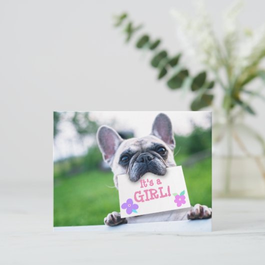 犬とのベビーガールのカスタム発表 案内ポストカード (スタンド正面)