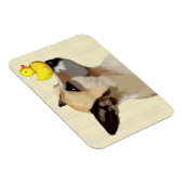 犬とアヒル マグネット (右側)