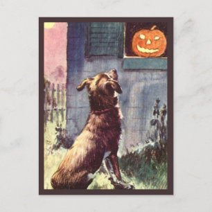 犬とカボチャ – ヴィンテージハロウィーン ポストカード