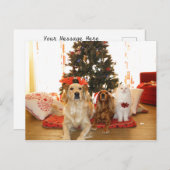 犬とクリスマスの白猫 |クリスマスツリー シーズンポストカード (正面/裏面)