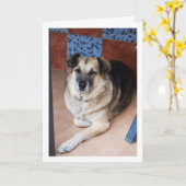 犬とタイルの肖像 カード (黄色い花)