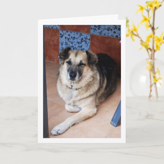 犬とタイルの肖像 カード (黄色い花)