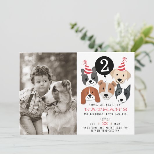 犬とブラックバルーンフォト誕生日招待状 招待状 (スタンド正面)