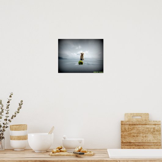 犬とボール ポスター (キッチン)