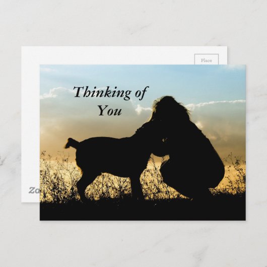 犬と女性の夕日シルエット ポストカード (正面/裏面)