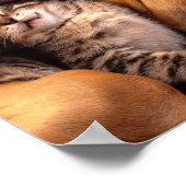 犬と子猫のポスター ポスター (角)