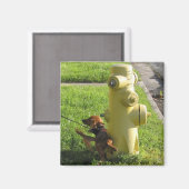 犬と消火栓 マグネット (正面/裏面)