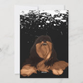 犬と猫がテレビを見る |かわいいPUGの所有者 シーズンカード (裏面)