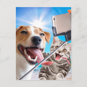 犬と猫が携帯電話で自撮った ポストカード