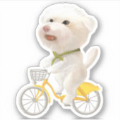 犬と猫のサイクリングby the sea シール (正面)