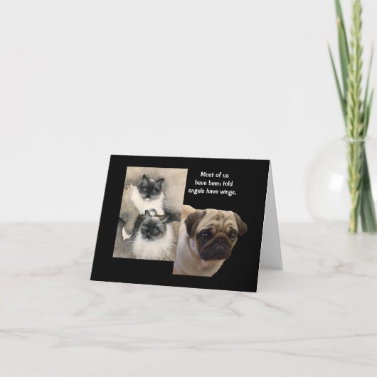 犬と猫の動物の天使がグリーティングカードを折り畳んだ カード (正面)
