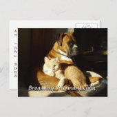 犬と猫の獣医アポイントメント葉書 ポストカード (正面/裏面)