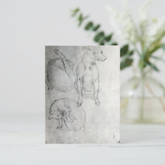 犬と猫の研究、1480年頃 ポストカード (スタンド正面)