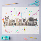 犬と猫の組み合わせを1列に分ける 薄葉紙 (クラフト)