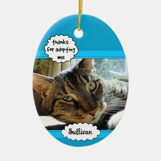 犬と猫の里親写真家族ペットオーナメント セラミックオーナメント (正面)