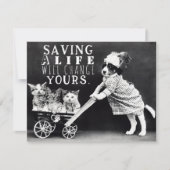 犬と猫の養子縁組と救助グリーティングカード シーズンカード (正面)