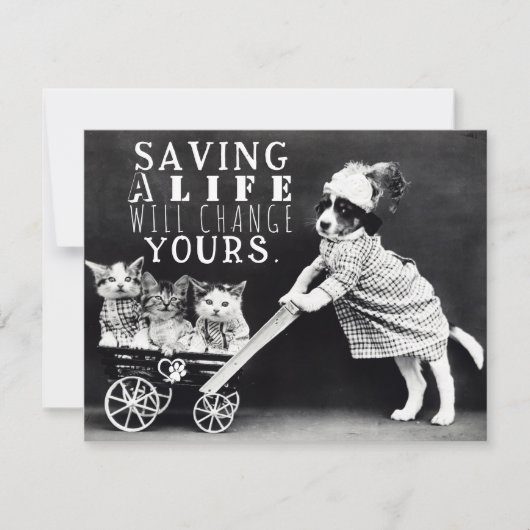 犬と猫の養子縁組と救助グリーティングカード シーズンカード (正面)