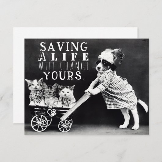 犬と猫の養子縁組と救助グリーティングカード シーズンカード (正面/裏面)