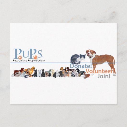 犬と猫のPUPsロゴ ポストカード (正面)