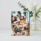 犬と猫グループの写真 インビテーションポストカード (スタンド正面)