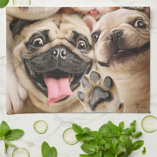 犬と猫グループの写真 キッチンタオル (折り畳み)