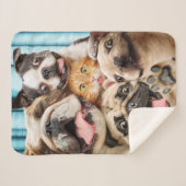 犬と猫グループの写真 シェルパブランケット (正面(横))