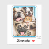 犬と猫グループの写真 シール (シート)