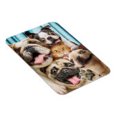 犬と猫グループの写真 マグネット (右側)