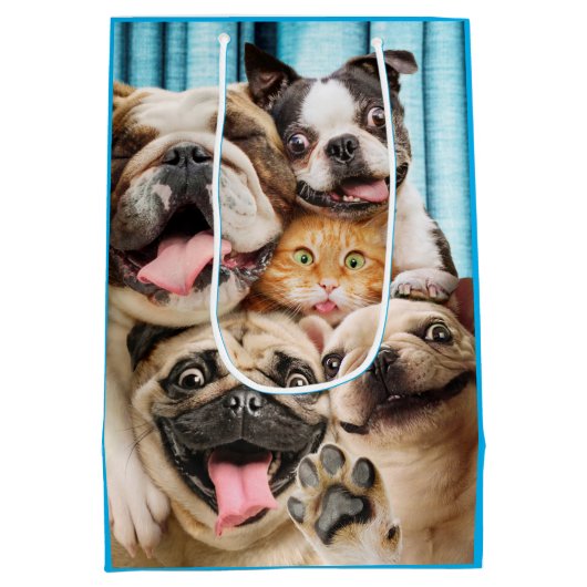 犬と猫グループの写真 ミディアムペーパーバッグ (裏面)