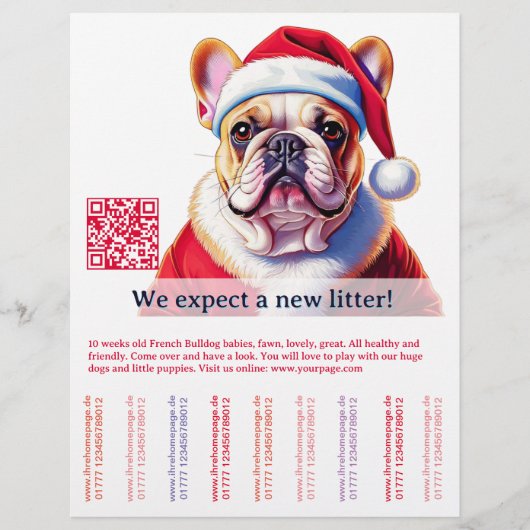 犬と猫 チラシ (正面)