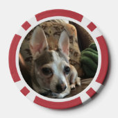 犬と猫 ポーカーチップ (裏面)