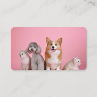 犬と猫 名刺