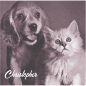 犬と猫，見上げパーソナライズされた シール (正面)