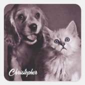 犬と猫，見上げパーソナライズされた スクエアシール (正面)